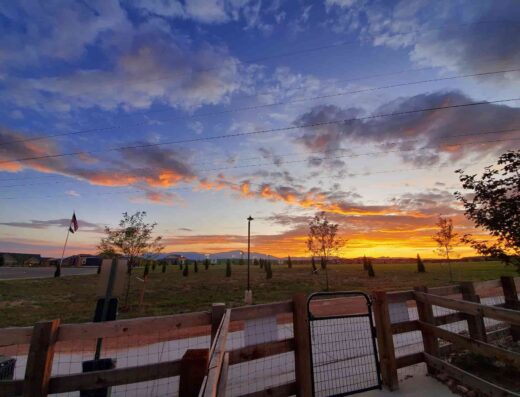 Vista Dog Park in Colorado Springs, CO 80927, United States